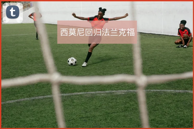西莫尼回归法兰克福