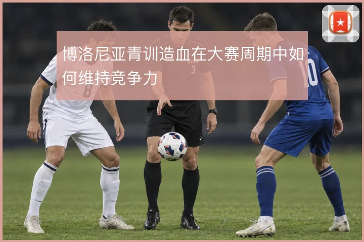 博洛尼亚青训造血在大赛周期中如何维持竞争力