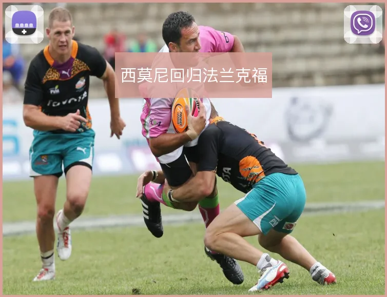 西莫尼回归法兰克福